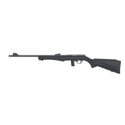 CARABINE ROSSI 8122 22LR