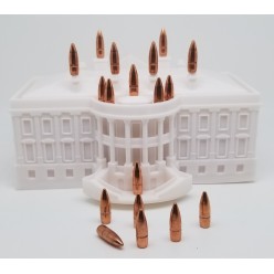 Ogives .223 55gr