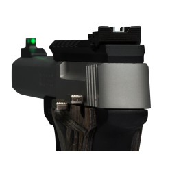 BUCKMARK PLUS S/S UDX SE MS ADJ S 22LR