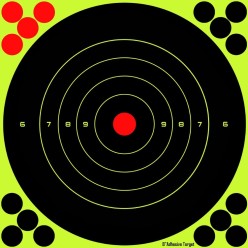 Cibles de tir réactives Blackstorm 8 pouces – Lot de 25