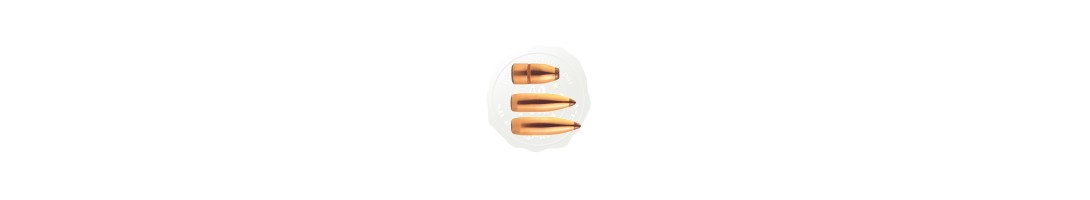 Cal 375 / .375