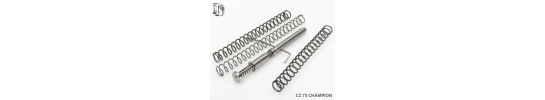 ACCESSOIRES ARMES DE POING