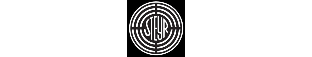 Armes Steyr | Pistolets, Fusils AUG, SSG et Carabines de Précision Autrichiennes