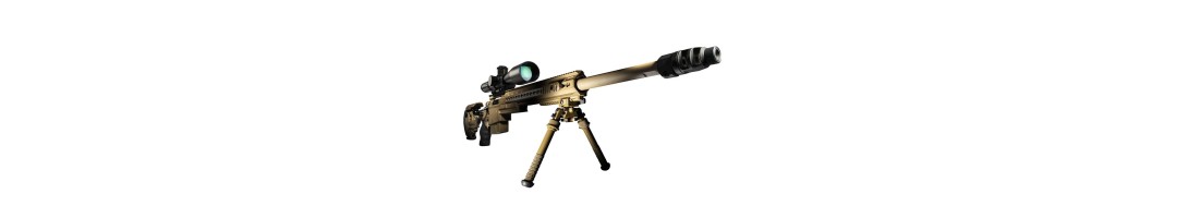 ARMES D'EPAULE