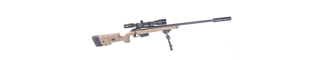 ARMES D'EPAULE