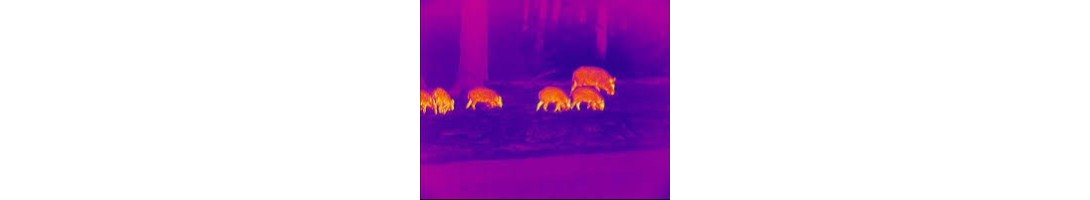Vision nocturne : lunettes, jumelles et caméras pour chasse et tir sportif