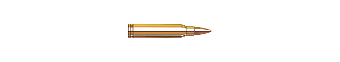 223 R / 5.56X45