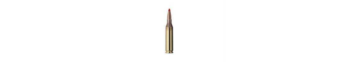 6MM /.243