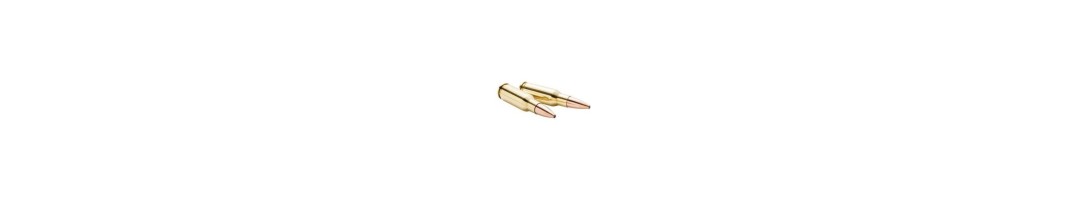 6,5 MM / .260
